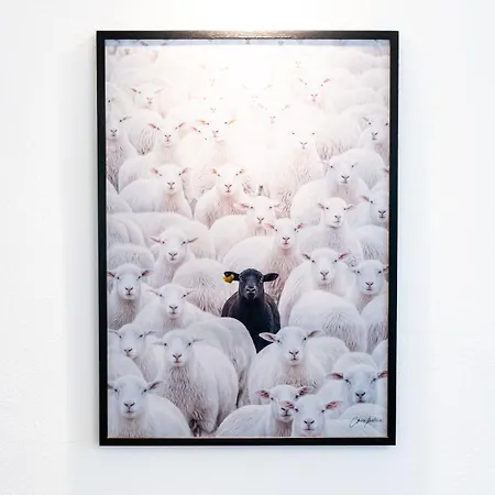 The Black Sheep, Airco - No Lift Apartamento